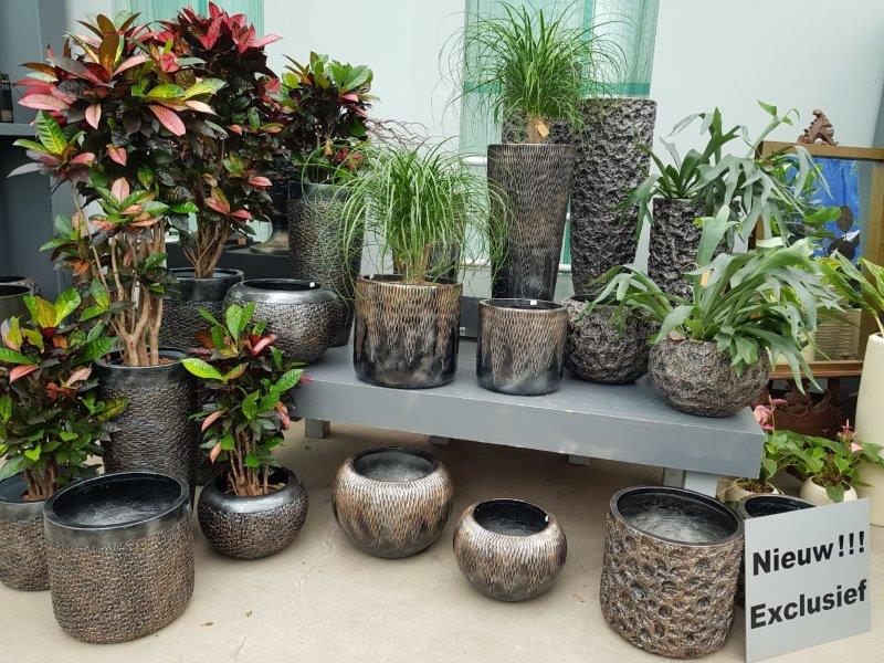 Shop-Huisman-showtuin37